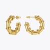 Gold Hoop Earrings