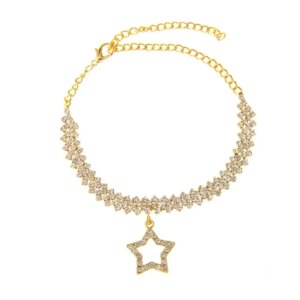 Star Silver Anklet