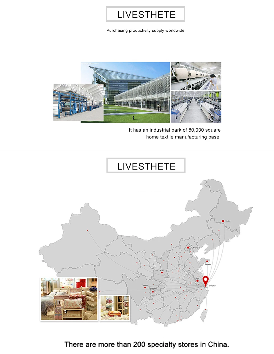 Liv-Esthete White Pure 100% Pure Silk Duvet Cover Set with Pillowcases Solid Color Healthy Skin Twin/Queen/King Luxury Bedding