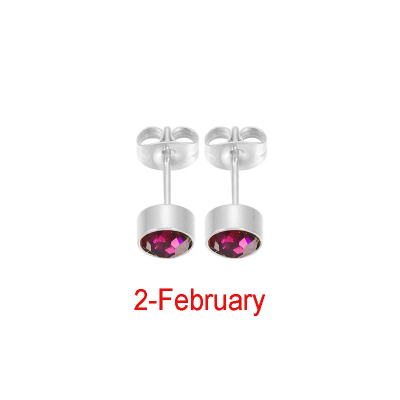Fnixtar 12Pairs Stainless Steel Rhinestone Stud Earrings Jewelry Birthstone Earring for Women Girl Lover Birthday Gift