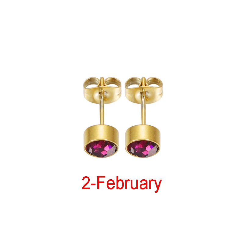Fnixtar 12Pairs Stainless Steel Rhinestone Stud Earrings Jewelry Birthstone Earring for Women Girl Lover Birthday Gift