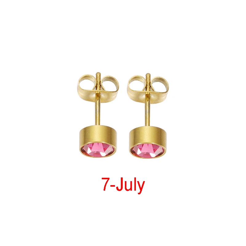 Fnixtar 12Pairs Stainless Steel Rhinestone Stud Earrings Jewelry Birthstone Earring for Women Girl Lover Birthday Gift