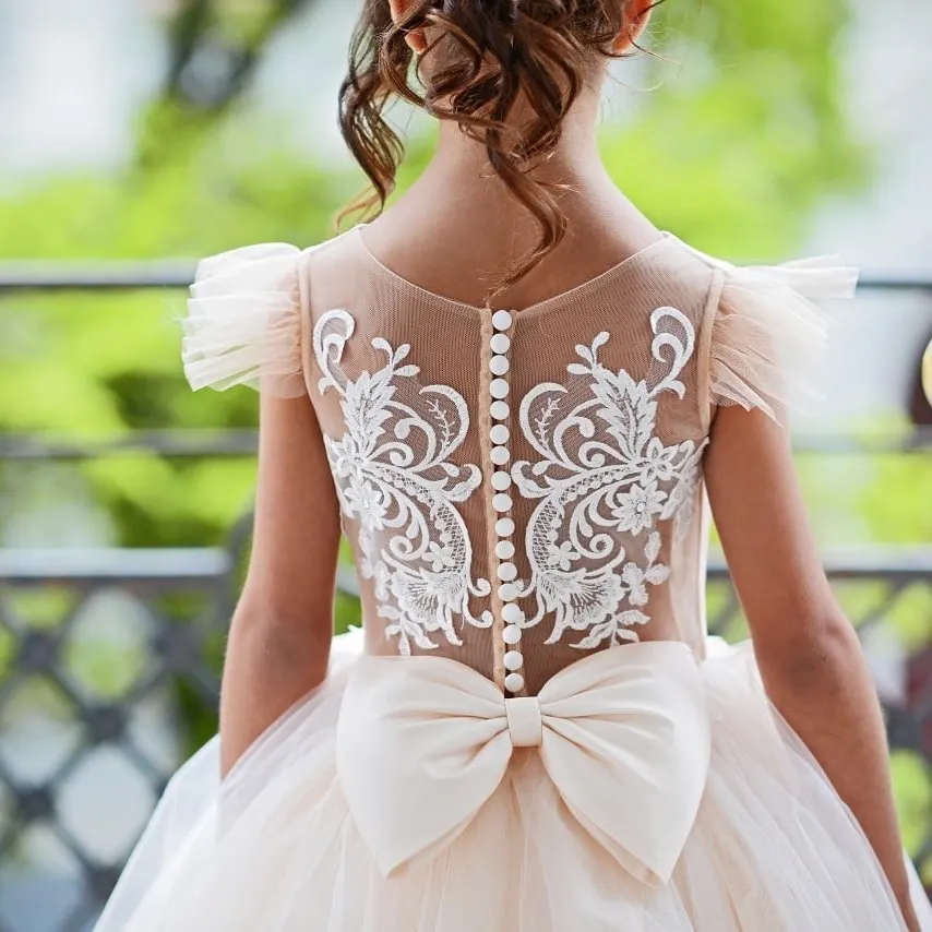 MisShow Lace Flower Girl Dresses for Kid Child Wedding Party Princess Dress Floral Bodice Tulle Ball Gown First Communion Dress